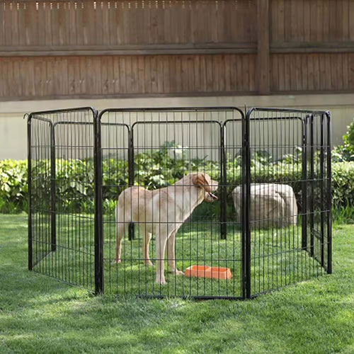 Foldable Metal Fence for Pet Dogs